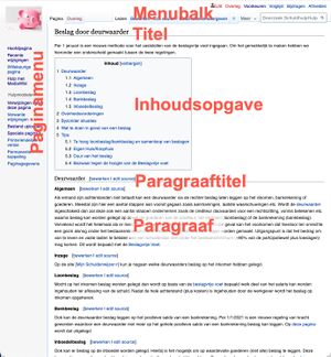 Paginastructuur.jpg